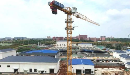 長(zhǎng)沙縣教育基建再發(fā)力 新校落成與重點(diǎn)項(xiàng)目施工進(jìn)展盤點(diǎn)